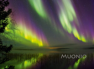 Magnet - Aurora Borealis 19