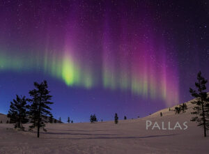 Magnet - Aurora Borealis 26