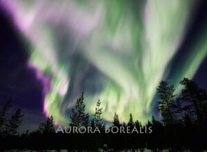 Magnet - Aurora Borealis 36