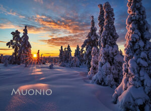 Magnet - Golden Winterscape 5