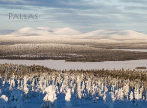 Magnet - Tunturi Winterscape 05
