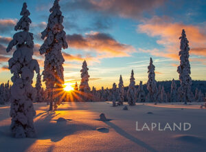 Magnet - Golden Winterscape 1