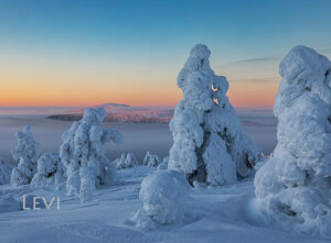 Magnet - Tunturi Winterscape 23