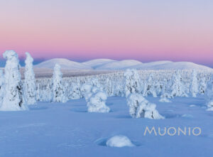 Magnet - Tunturi Winterscape 24