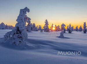 Magnet - Tunturi Winterscape 26